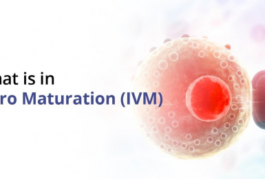 Trưởng thành trứng trong ống nghiệm (IVM)